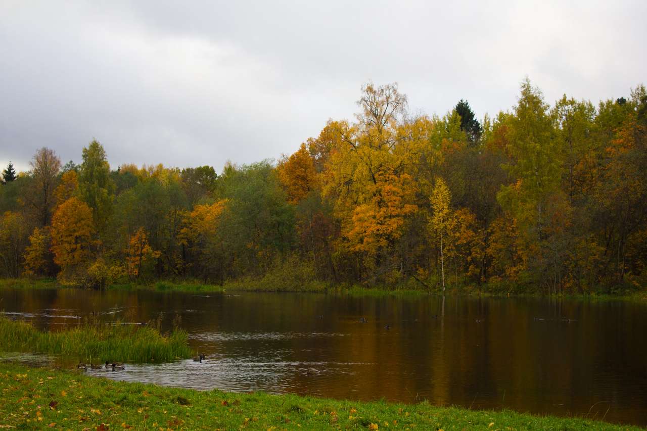 Autumn park in cloudy weather jigsaw puzzle online