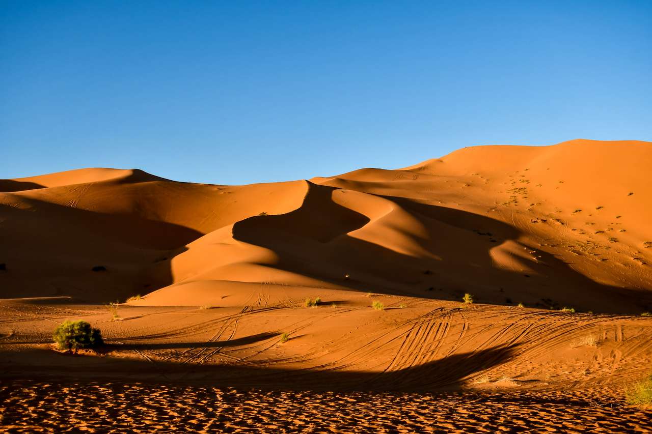 Sivatag Egyiptomban online puzzle