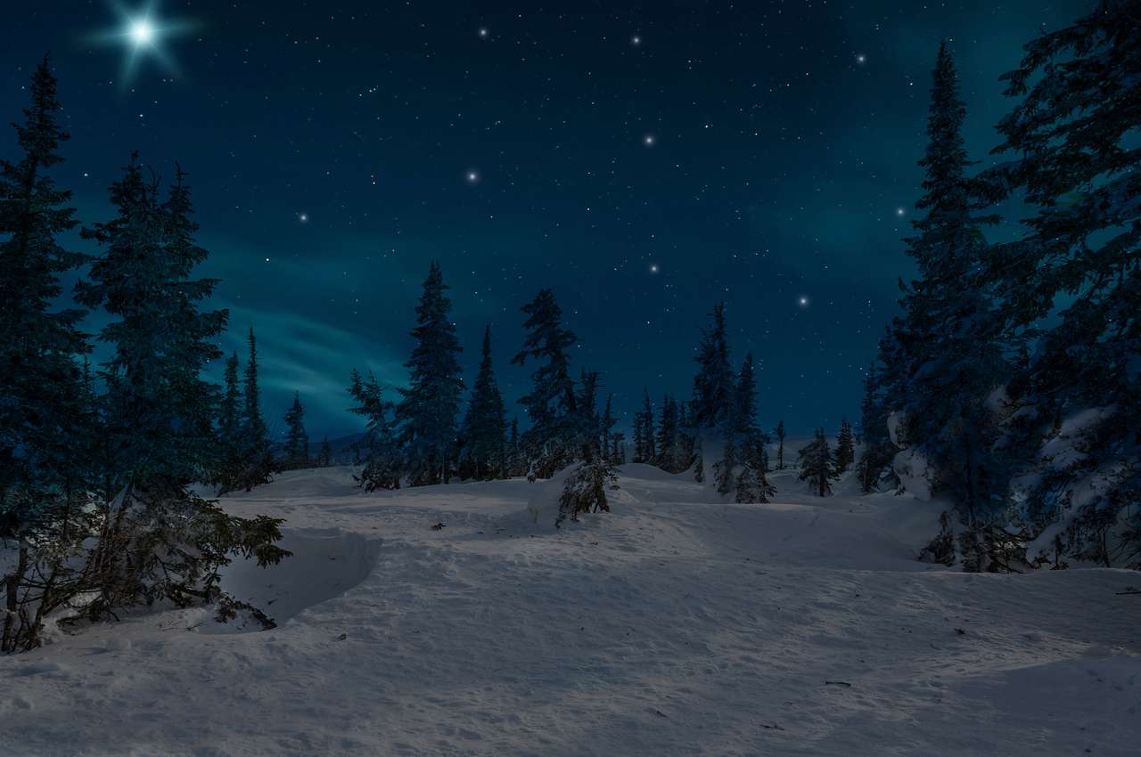 Ночные заснеженные елки пазл онлайн