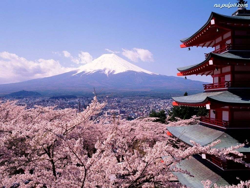 Mount Fuji - die Insel Honshu Online-Puzzle