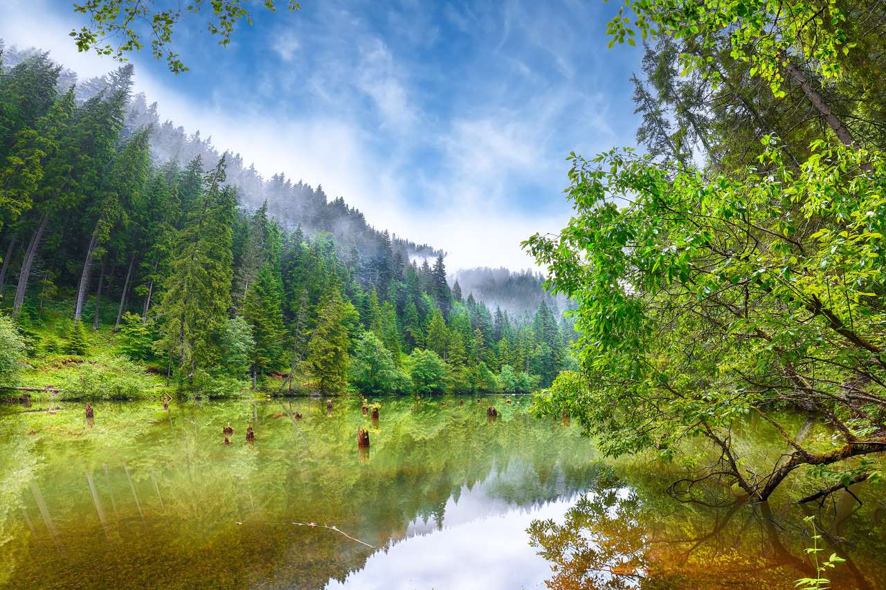 Величний літній вид на гірське озеро Lacul Rosu онлайн пазл