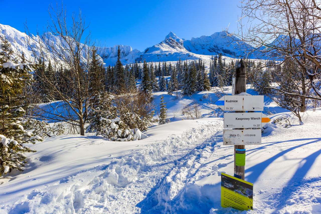 Signpost Gasienicowa valley in winter season jigsaw puzzle online