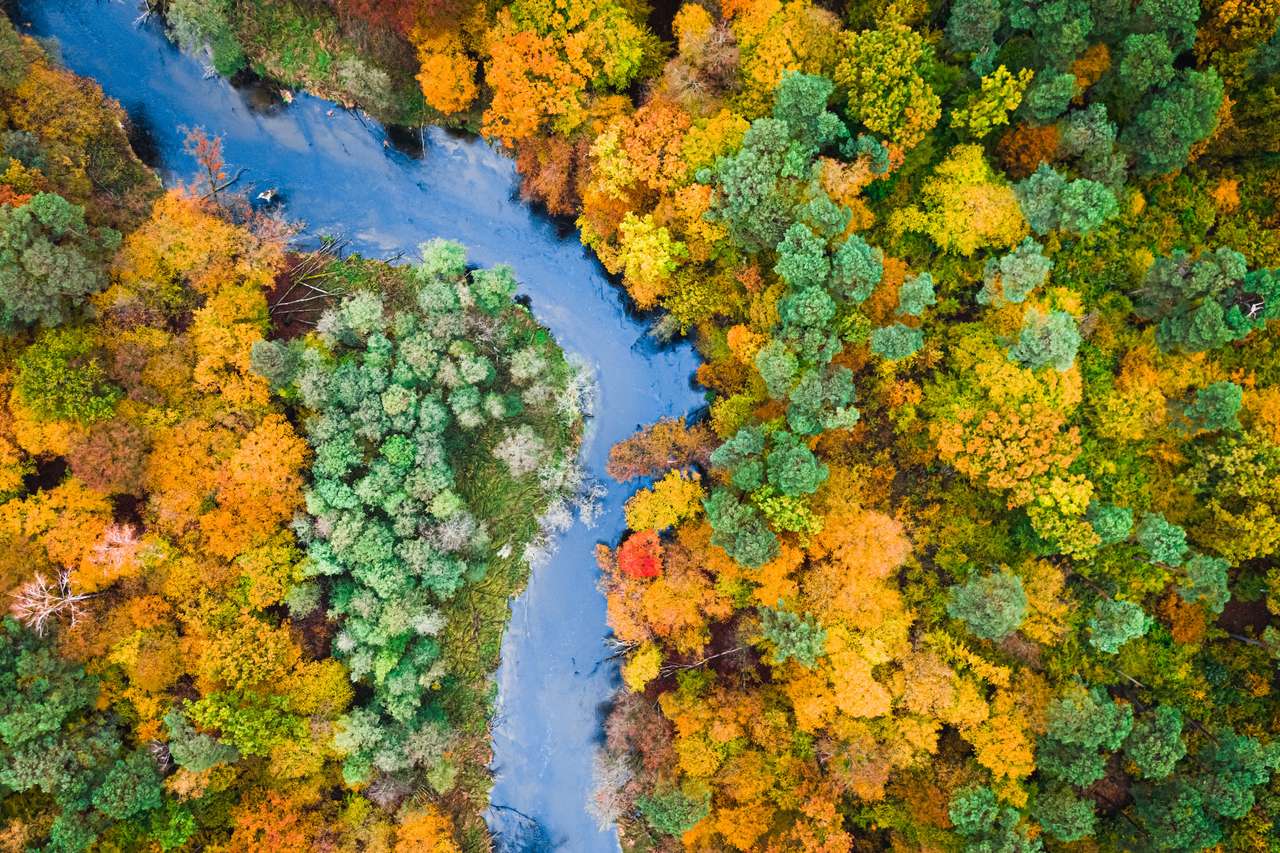Красочный осенний лес и река пазл онлайн