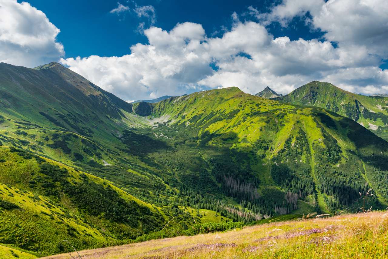 Schilderachtig uitzicht vanaf Trzydniowianski Wierch Peak online puzzel