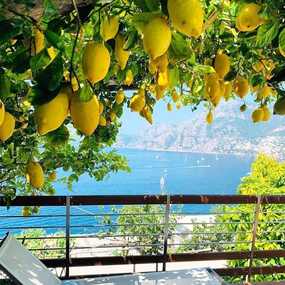терраса с лимонами пазл онлайн