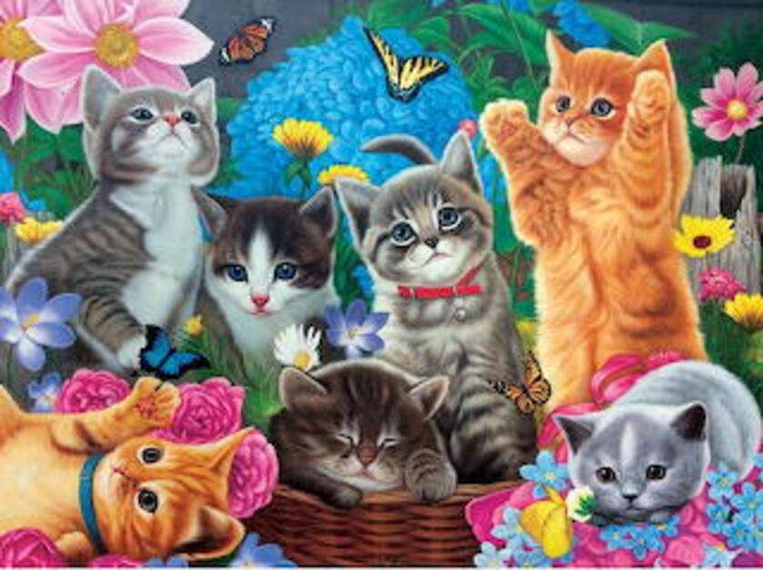 Gattini che guardano le farfalle puzzle online