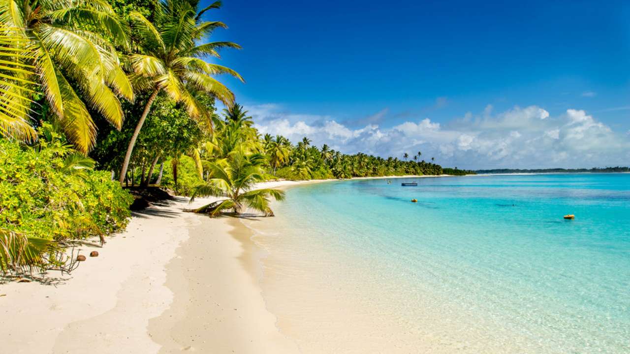 Tropická pláž online puzzle