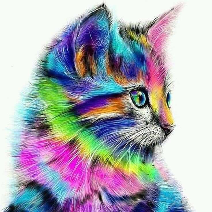 Gato arco-íris quebra-cabeças online