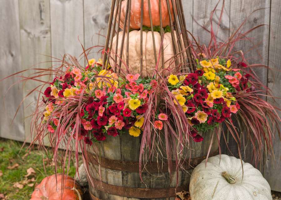 Decoración de flores de otoño rompecabezas en línea