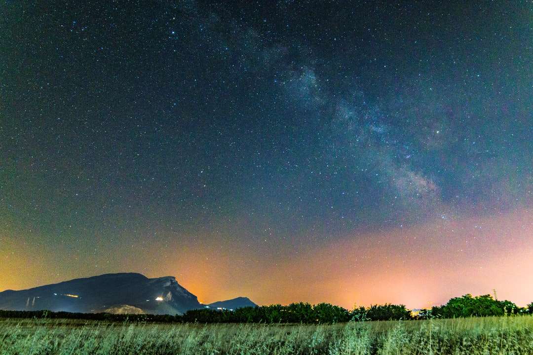 champ d'herbe sous le ciel étoilé puzzle en ligne
