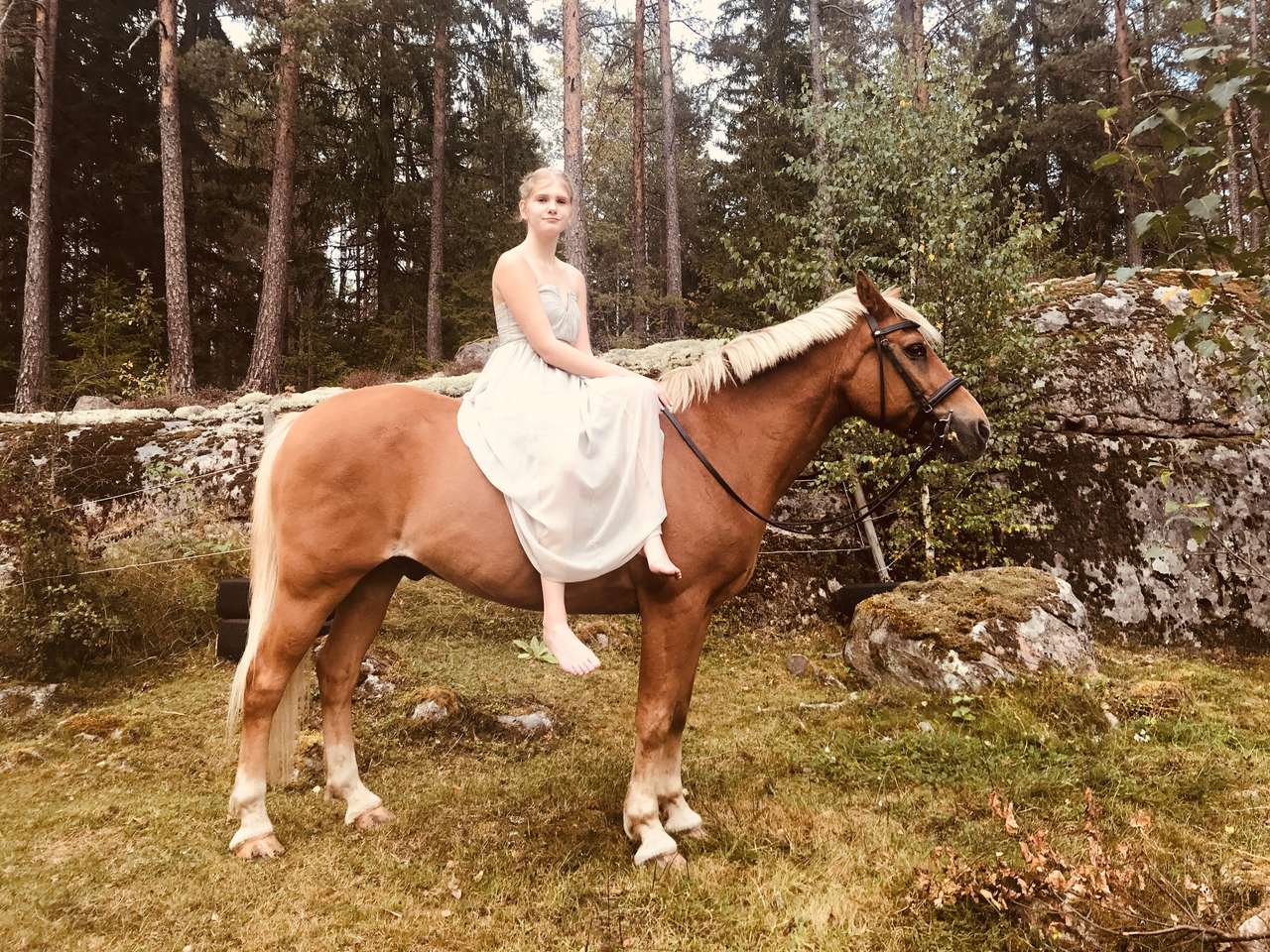 Girl with horse online puzzle
