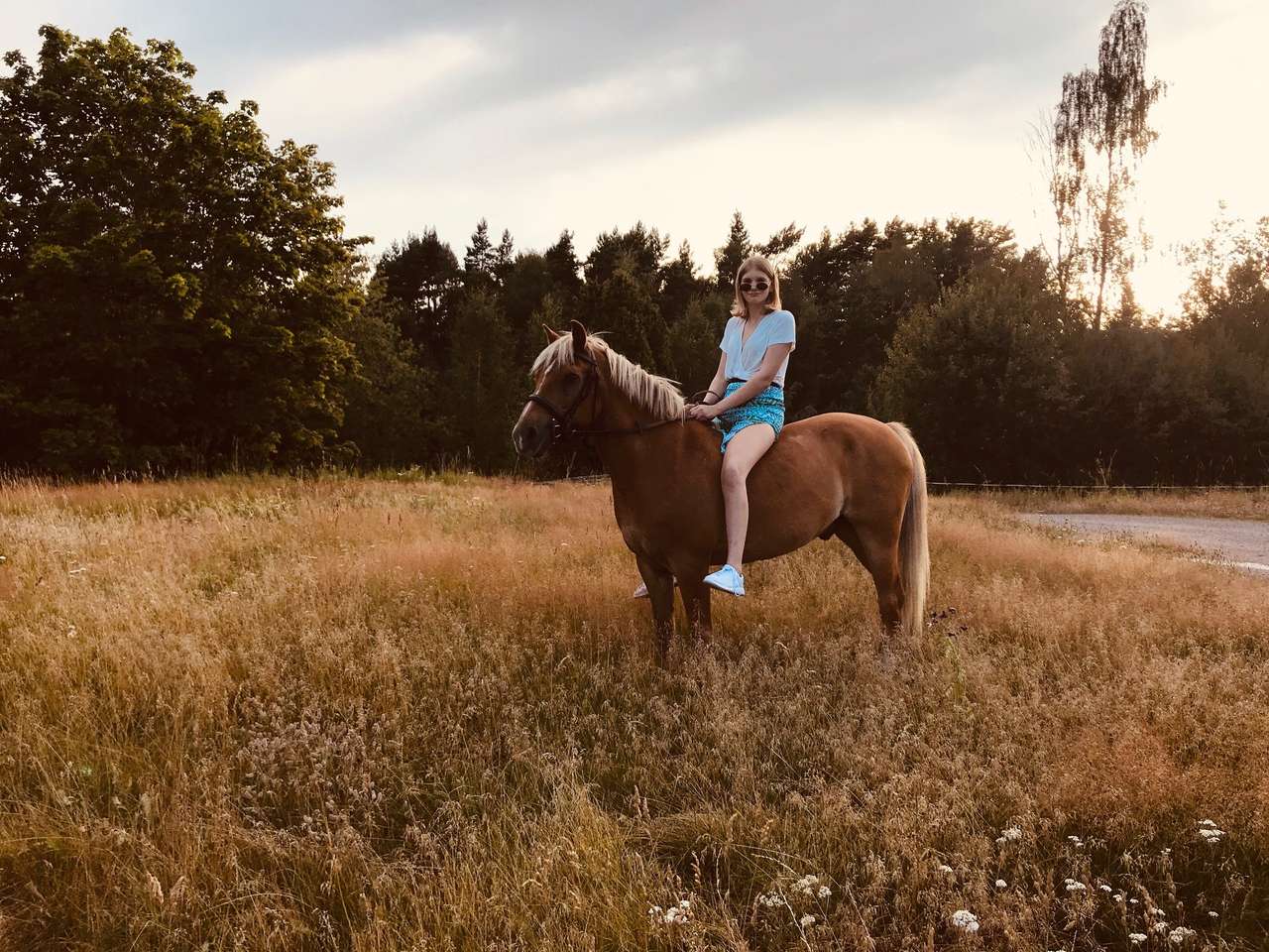 άλογο με κορίτσι παζλ online