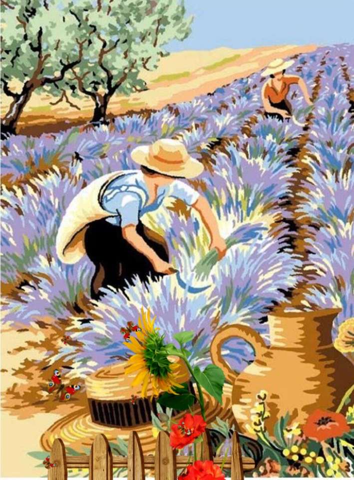 Plockar lavendel i Provence pussel på nätet