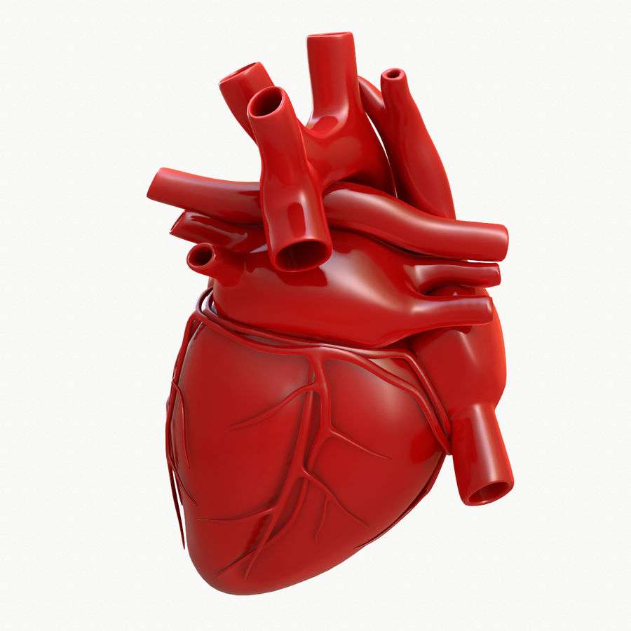 educational human heart online puzzle