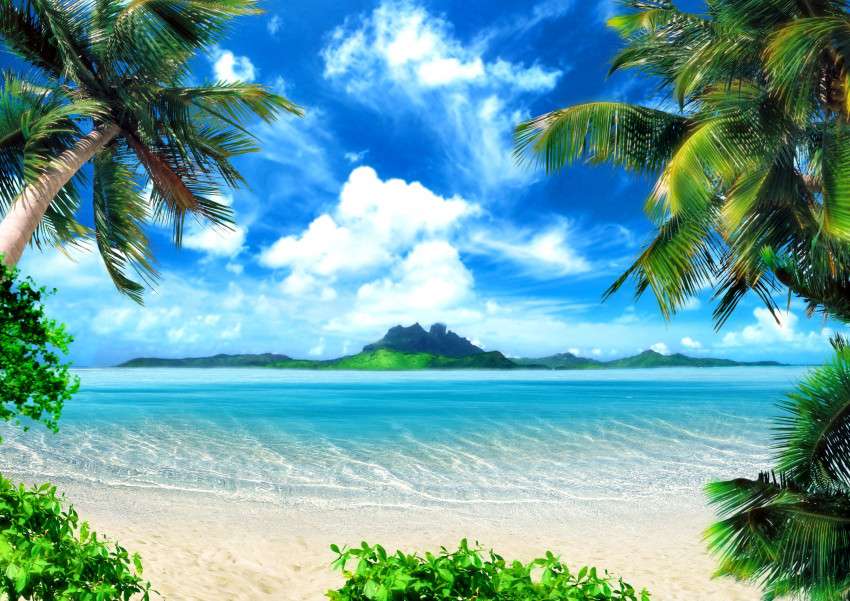 In a tropical country jigsaw puzzle online
