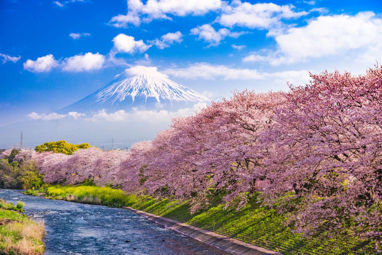 Mount Fuji, Japan en rivier in de lente. legpuzzel online