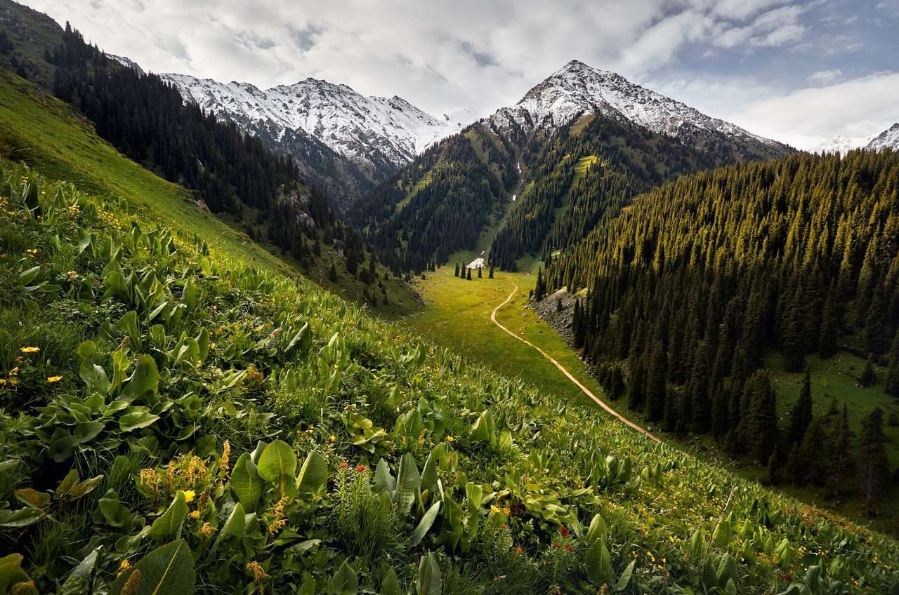 зеленая горная долина в Казахстане онлайн-пазл