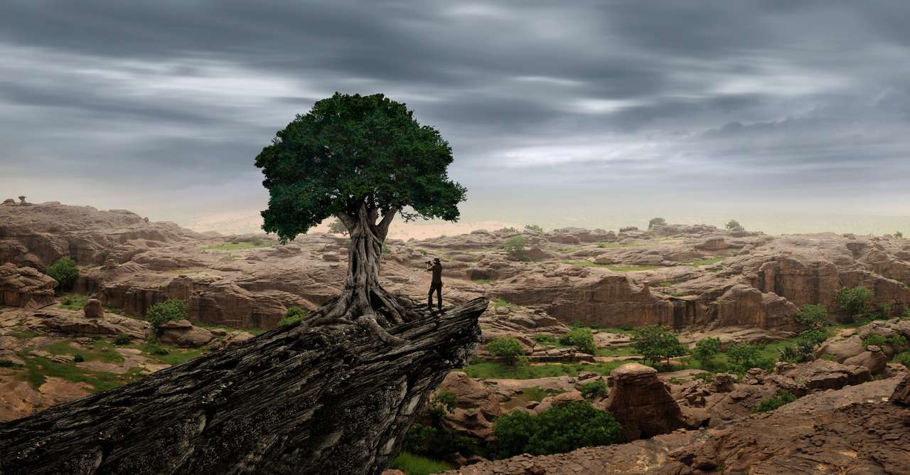 Traveler looking at the African landscape jigsaw puzzle online