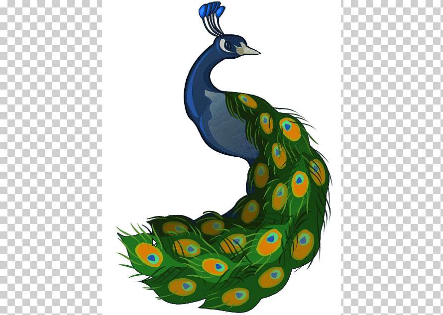 Peacock-fazan. puzzle online