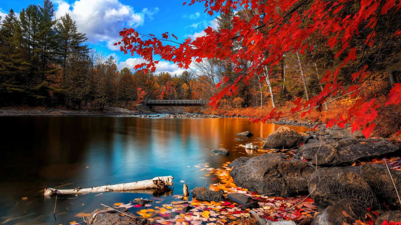 осінь на озері онлайн пазл