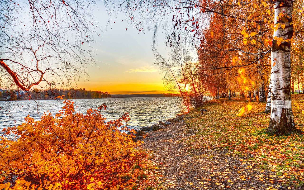 at the edge of the lake jigsaw puzzle online
