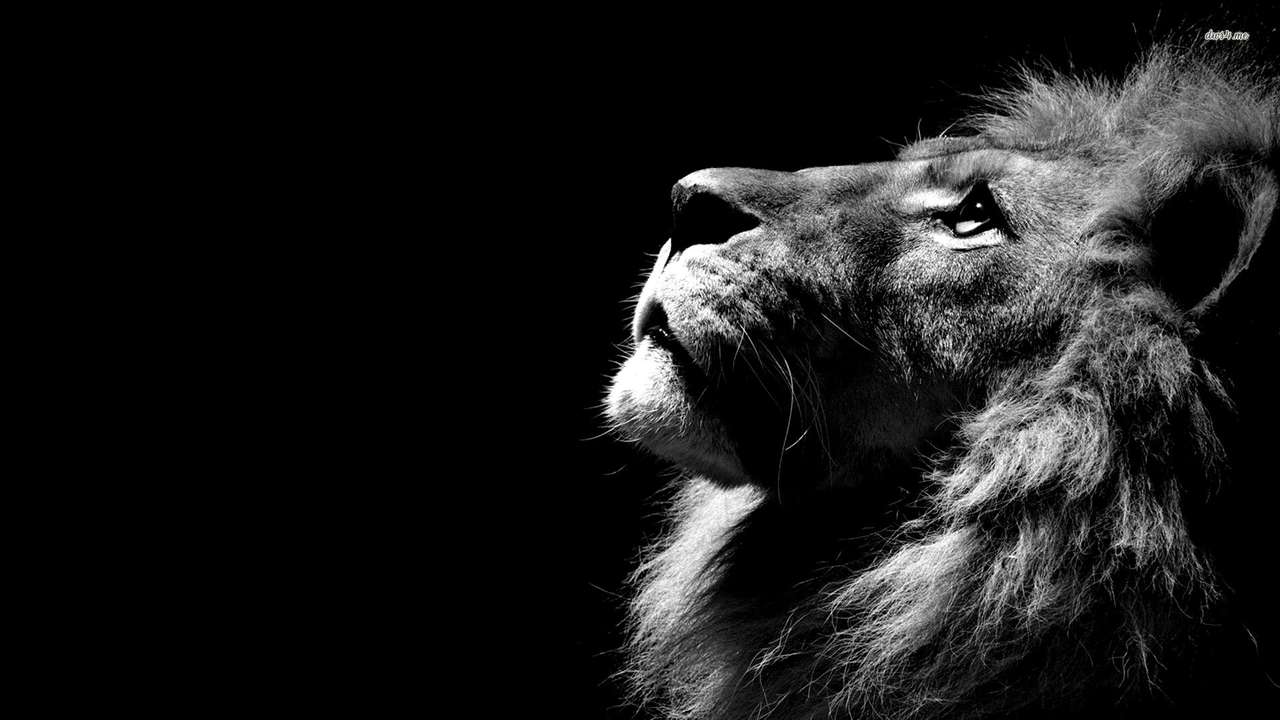λιοντάρι της Ιούδας παζλ online