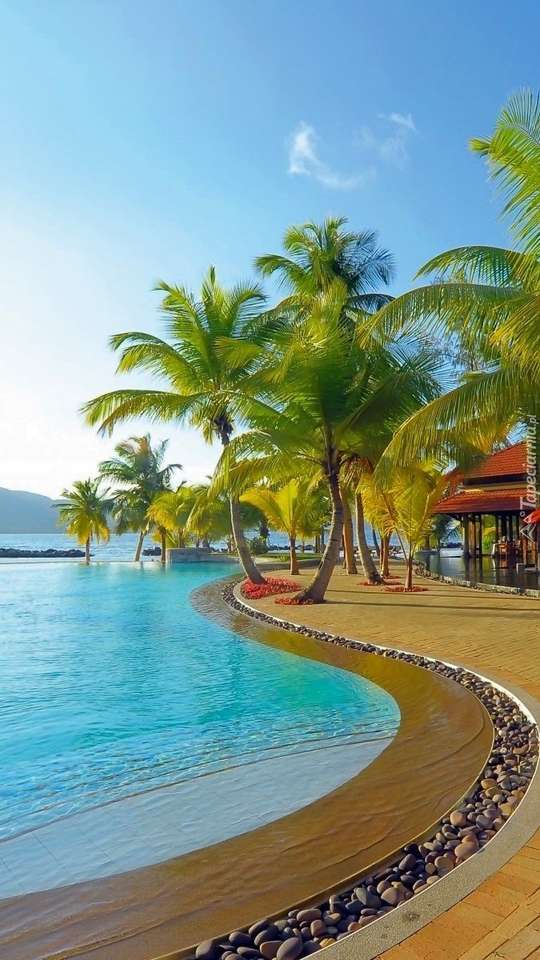 Тропически курорт с басейн и палмови дървета онлайн пъзел