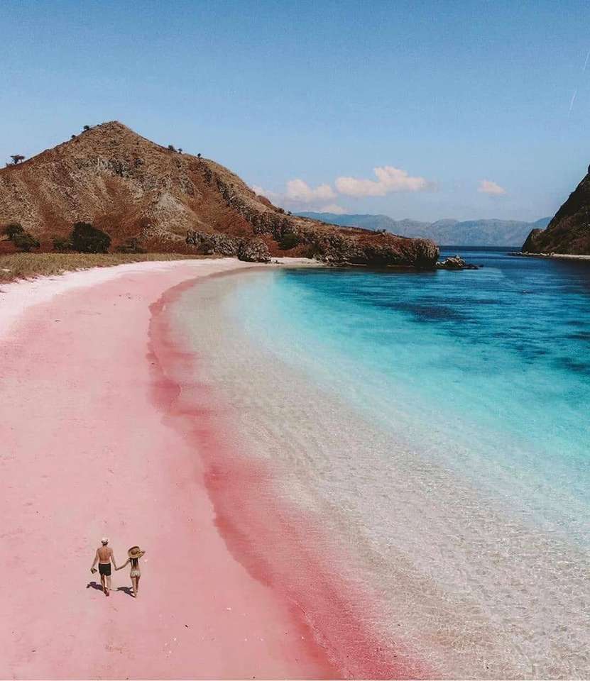 En magisk rosa strand på ön Komodo Pussel online