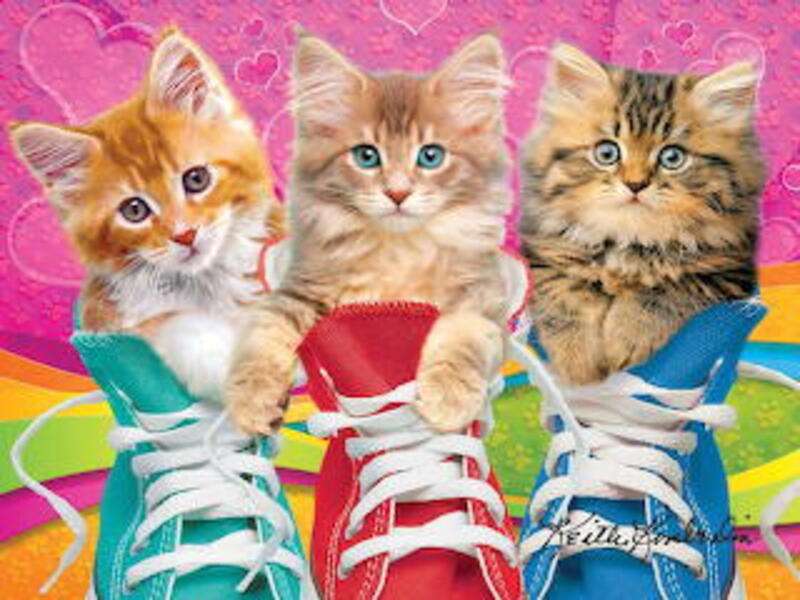 Kätzchen in Schuhe gesteckt Online-Puzzle