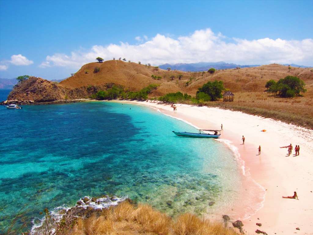 Het roze eiland Komodo - Indonesië online puzzel