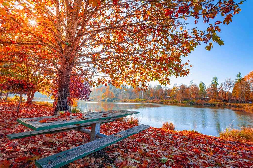 Hösten vid sjön Pussel online