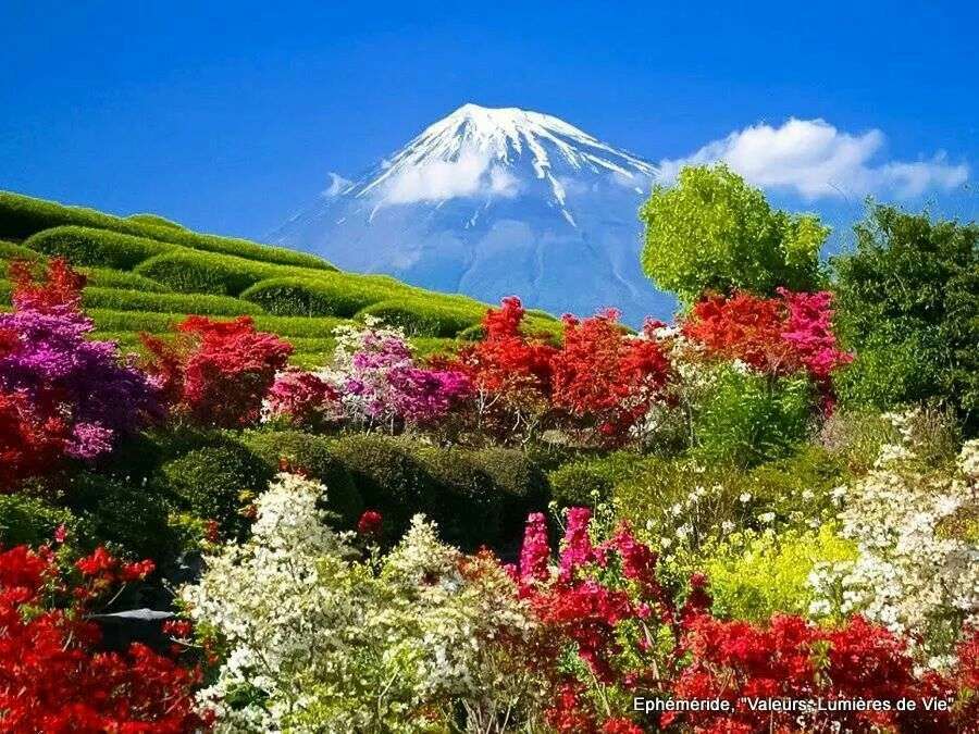 landskap japan pussel på nätet