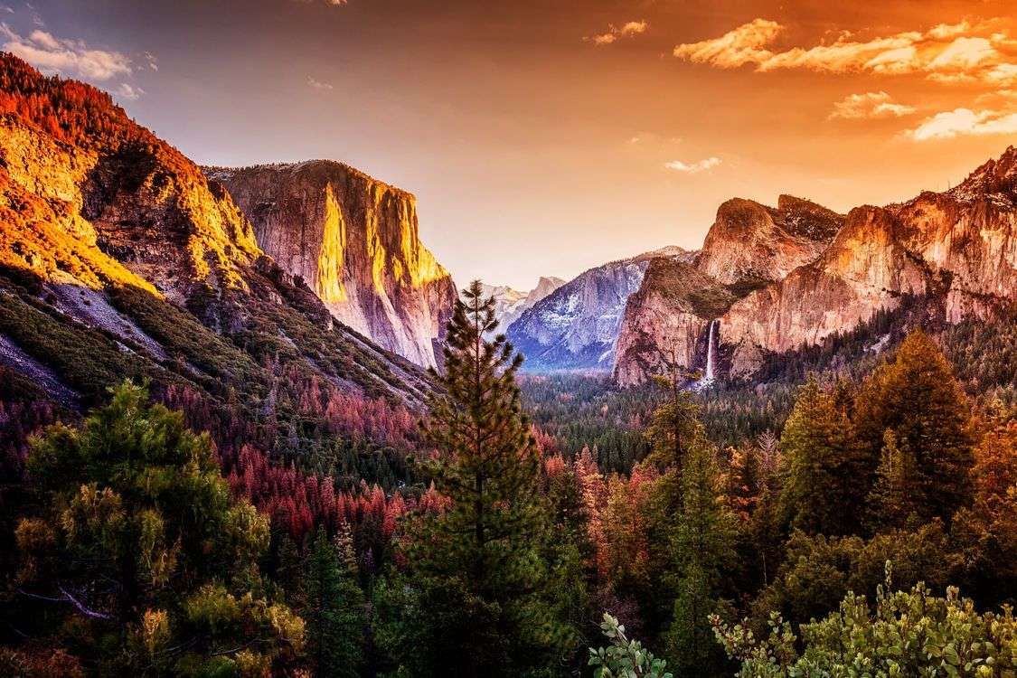 Yosemite park online puzzel