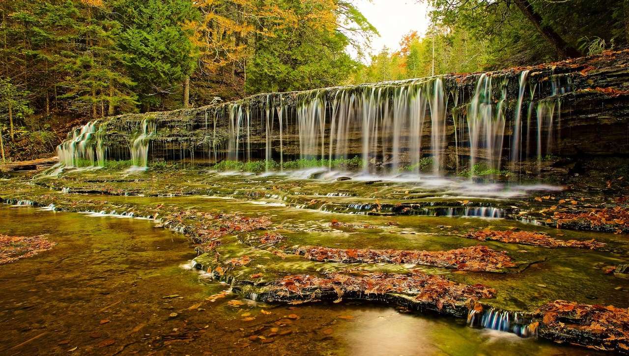 водопад в лесу пазл онлайн