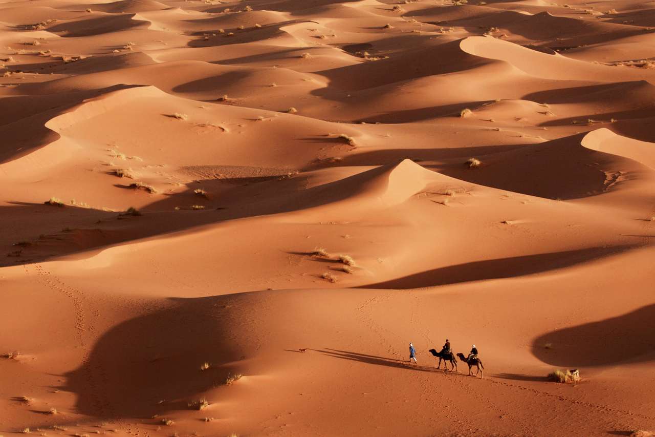 верблюды везут туристов в пустыню Сахара онлайн-пазл