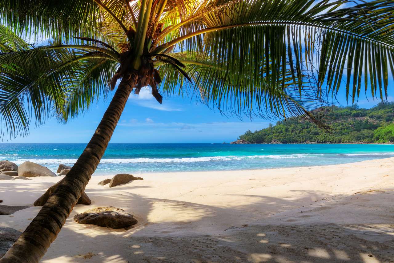 Tropisk solig strand med palm och turkost hav Pussel online