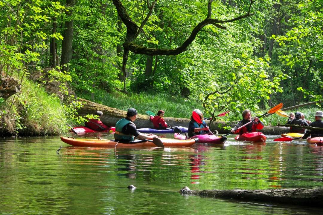 Canoe pe râu puzzle online