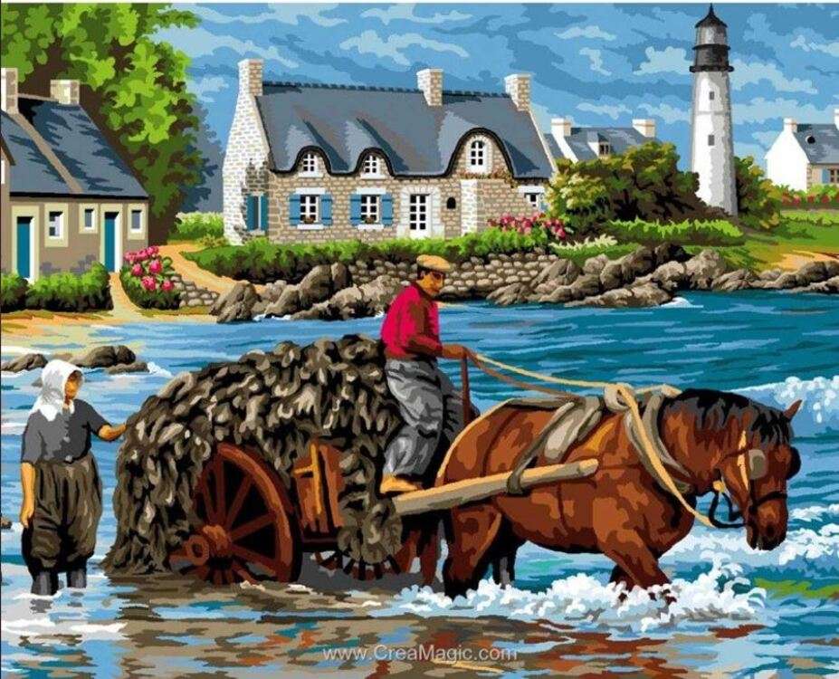 Harvesting seaweed in Brittany jigsaw puzzle online