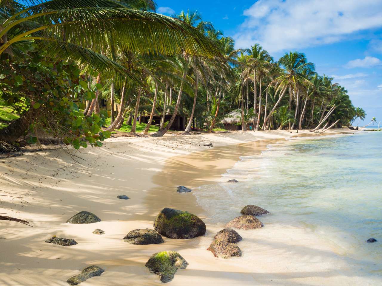 Praia tropical com coqueiros em ilha caribenha quebra-cabeças online
