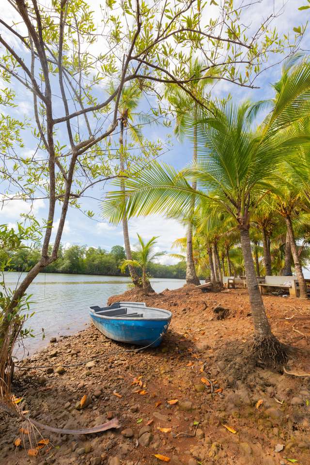 Панама, река Чорча, деревянная лодка под пальмами онлайн-пазл