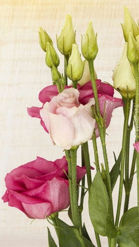 Fleurs d'eustchomie avec des roses puzzle en ligne