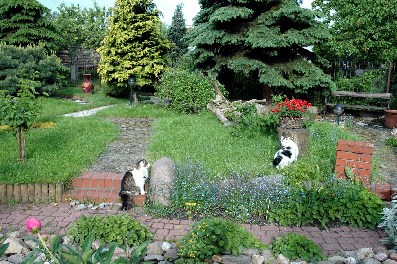 kočky na zahradě skládačky online