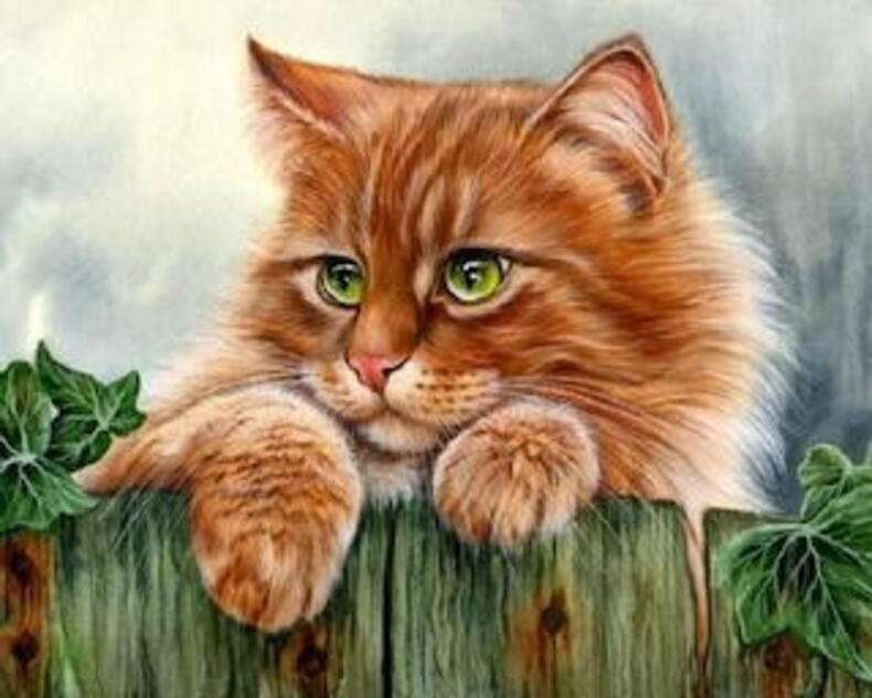 子猫の美しい目 ジグソーパズルオンライン