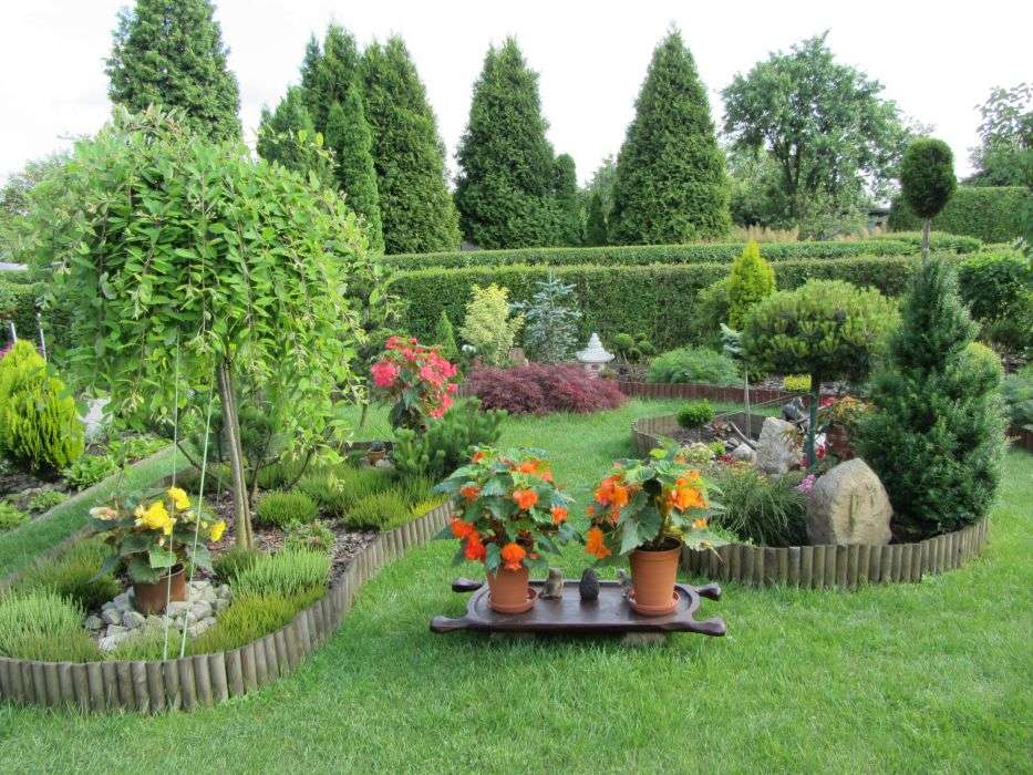 Groene tuin met struiken en bloeiende bloemen online puzzel