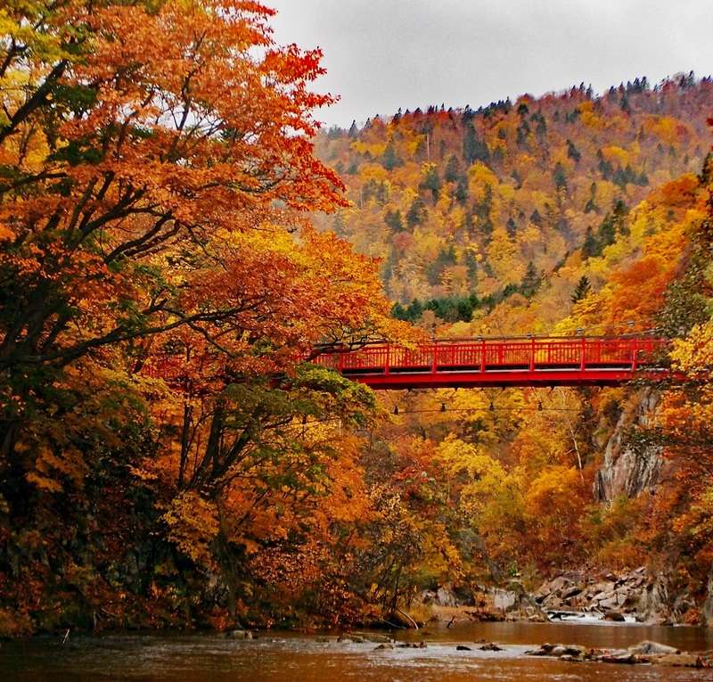 híd a víz felett online puzzle