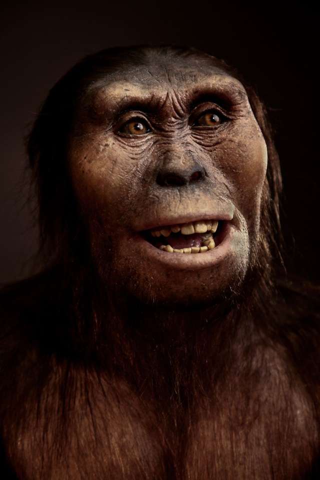 Lucy Australopithecus afarensis Äthiopien Puzzlespiel online