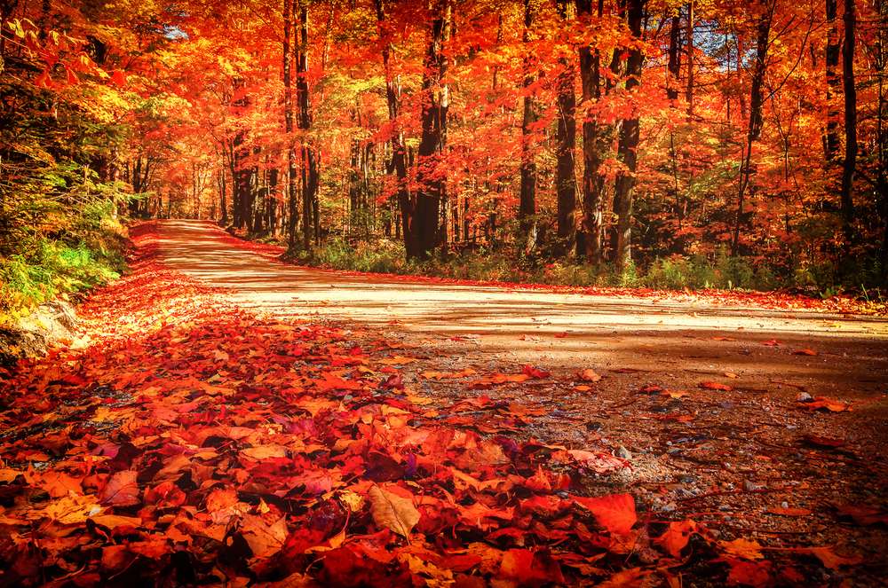 秋の風景 オンラインパズル