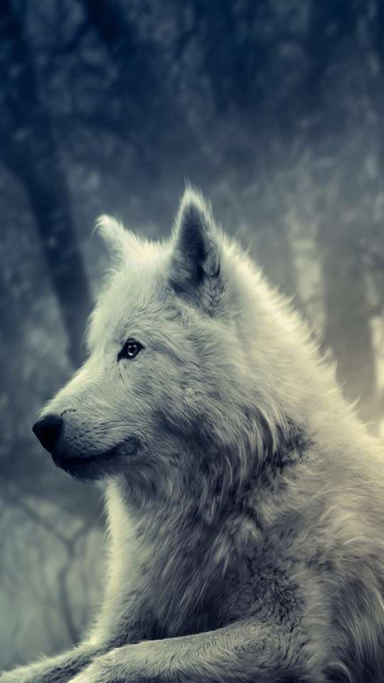 Wolf afbeelding legpuzzel online