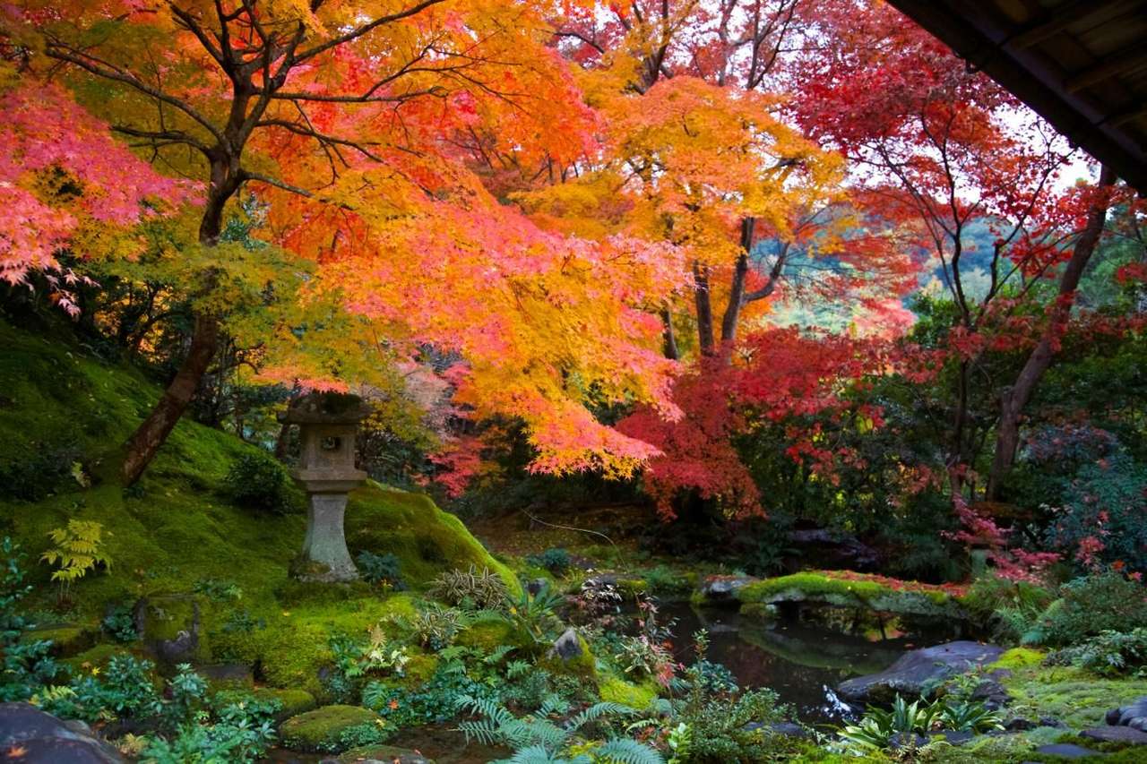 giardino d'autunno puzzle online