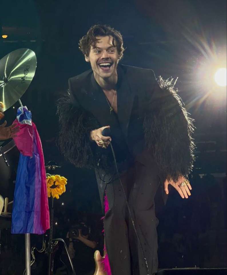 HARRY STYLES IN LOVE IN TOUR puzzle online
